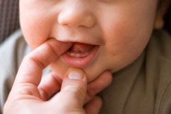 baby tænder