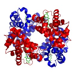 Blodprocent