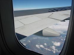 Flyskræk er et udbredt fænomen