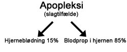 Hjerneblødning, blodpropper i hjernen og apopleksi
