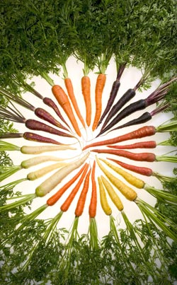 En sund livsstil med gulerødder