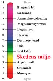 Lugt fra skeden