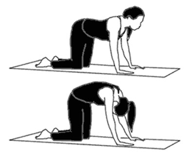 pilates øvelser - katteøvelsen