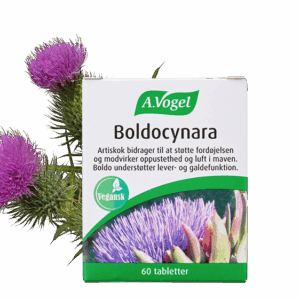 A. Vogel Boldocynara Tabletter 60 tabl.