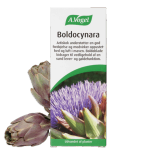 A.Vogel Boldocynara Dråber 100 ml.