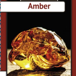 Amber - Eva Mosegaard Amdisen - English Book