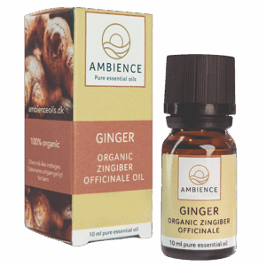 Ambience Ingefær Olie Ø (10 ml)