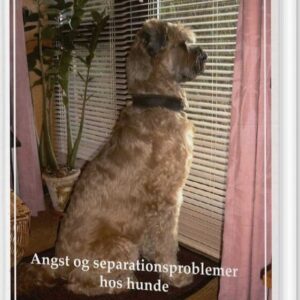 Angst Og Separationsproblemer Hos Hunde - Kerstin Malm - Bog