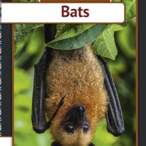 Bats - Henrik Enemark - English Book