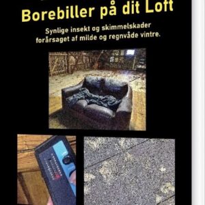 Bekæmpelse Af Borebiller På Dit Loft - Gitte Ahrenkiel - Bog