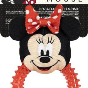 Bidering (hund) - Minnie Mouse