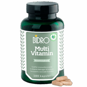 Bidro Multi Vitamin (180 kap)