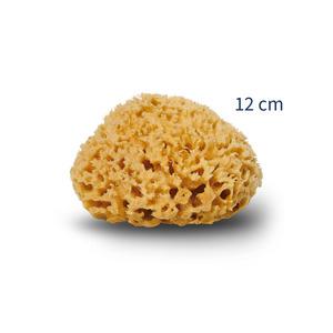 Cocoon Organic Laundry Honey svamp 12 cm