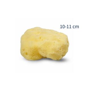 Cocoon Organic Laundry Silke svamp 10-11 cm