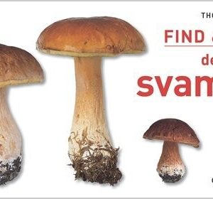 Find & Spis De Bedste Svampe - Thomas Læssøe - Bog