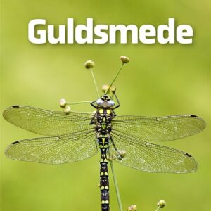Guldsmede - Henrik Enemark - Bog - Straarup & Co