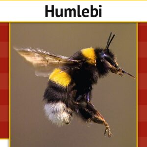 Humlebi - Per østergaard - Bog