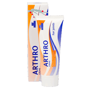 Ice Power Arthro 60 gr.