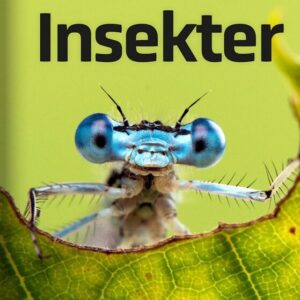 Insekter - Anne-sofie Duch Teglgaard - Bog - Straarup & Co