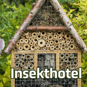 Insekthotel - Kirsten Wandahl - Bog - Straarup & Co