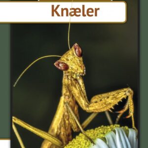 Knæler - Per østergaard - Bog