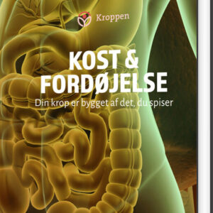 Kost Og Fordøjelse - Mette Andersen Reeh - Bog - Straarup & Co