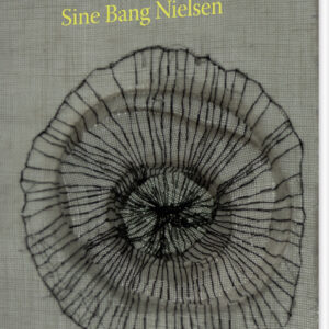 Krater - Sine Bang Nielsen - Bog