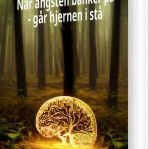 Når Angsten Banker På - Bodil Margrethe Bang Thomsen - Bog