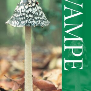Naturguide Svampe - Shelley Evans - Bog
