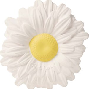 Oli & Carol Bidering - Margarita The Daisy