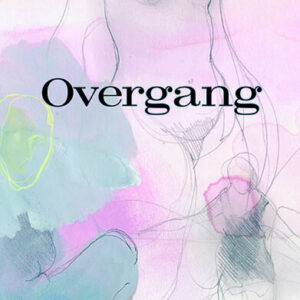 Overgang - Toril Snerle Bækmark - Bog