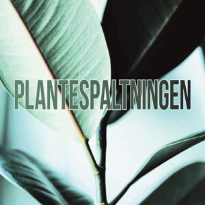 Plantespaltningen - Leonard Mortensen - Bog