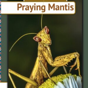 Praying Mantis - Per østergaard - English Book - Turbine