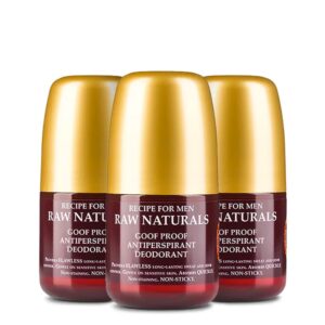 Raw Naturals Goof Proof Antiperspirant Deodorant (3-pak)