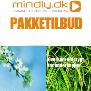 Slip fri af panikangst og panikanfald + Araknofobi (Pakketilbud)