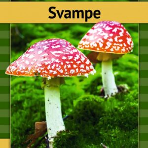 Svampe - Eva Mosegaard Amdisen - Bog