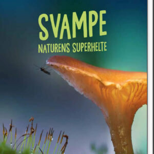 Svampe - Helle Perrier - Bog
