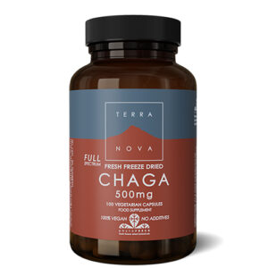 Terranova Chaga 500 mg (50 kap)