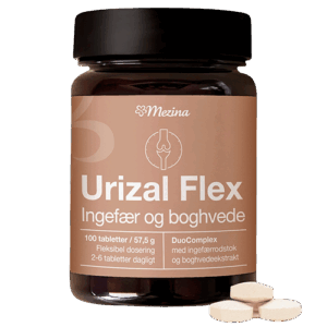 Urizal Ingefær Flex 100 tab