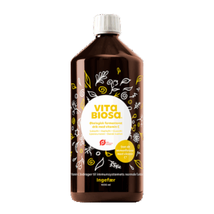 Vita Biosa Ingefær Ø (1 liter)