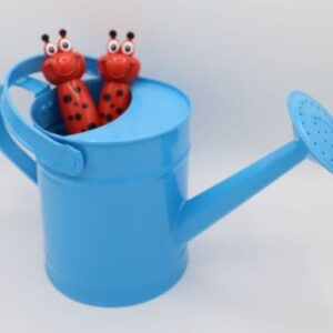 Watering Can & Tool Set