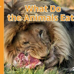 What Do The Animals Eat? - Marianne Randel Søndergaard - English Book - Straarup & Co